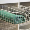 Vit trådkorg trådback korg med korgavdelare och bottenplatta från Garderobsfabriken